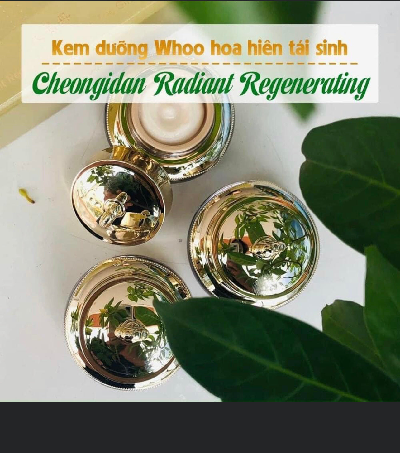 Dưỡng tai sinh mini