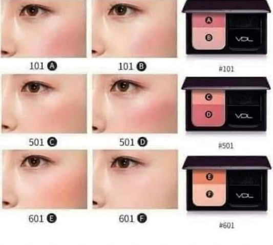 VDL Expert Color Cheek Book Mini 9.5g/0.33oz